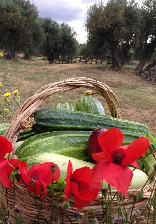 Agriturismo Prati Degli Orti Montiano  Extérieur photo