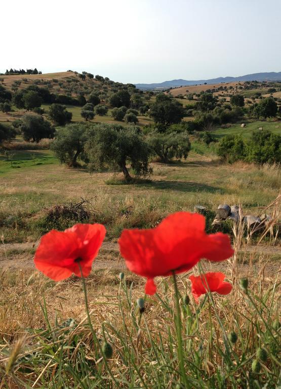 Agriturismo Prati Degli Orti Montiano  Extérieur photo