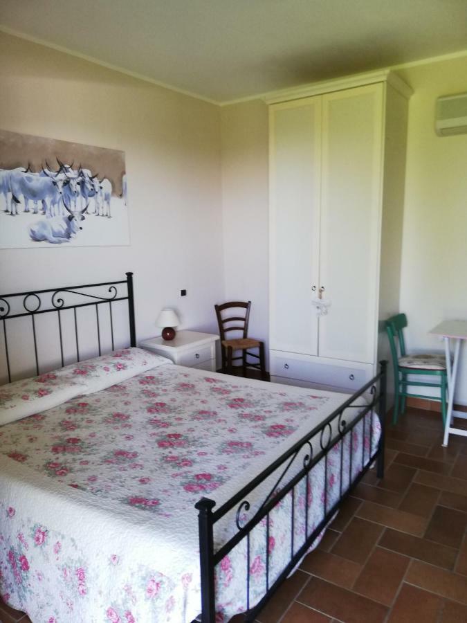 Agriturismo Prati Degli Orti Montiano  Extérieur photo